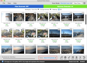 Manage Photos Export the Results